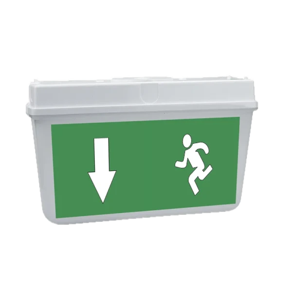 взбудораженный